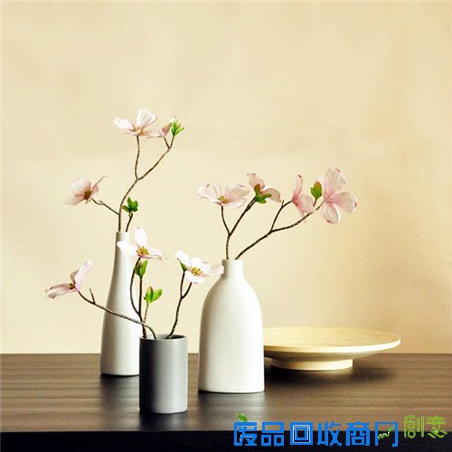 在家中增添一抹春色