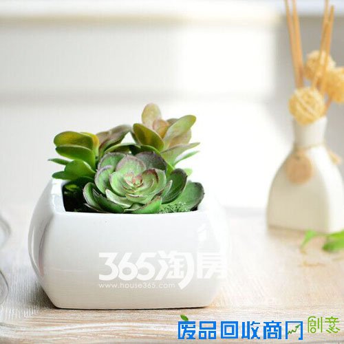 滨湖东方汇资料图