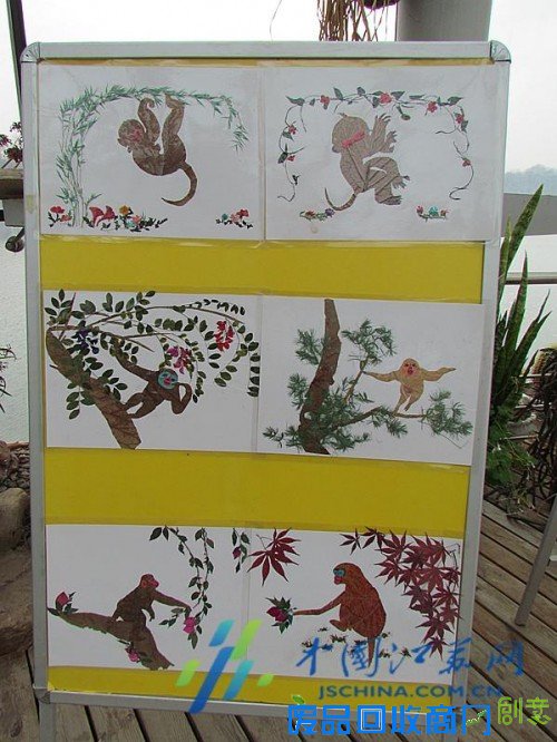 南京中山植物园在园区展示“猴植物”!