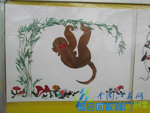 南京中山植物园在园区展示“猴植物”!