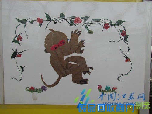 南京中山植物园在园区展示“猴植物”！