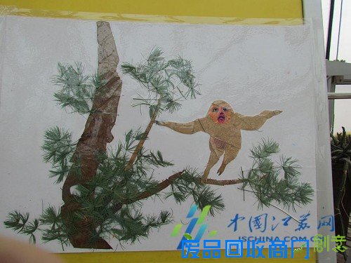 南京中山植物园在园区展示“猴植物”！