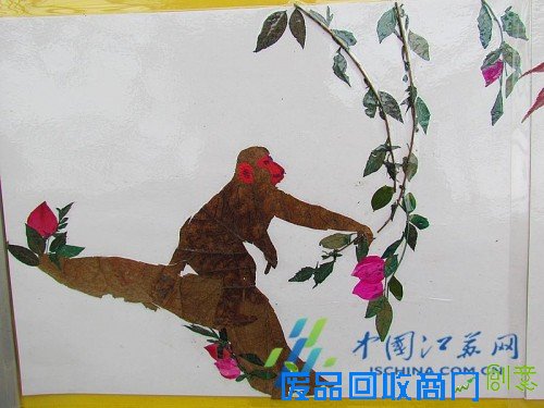 南京中山植物园在园区展示“猴植物”!