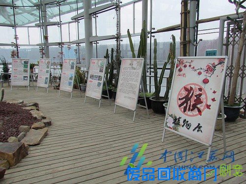 南京中山植物园在园区展示“猴植物”!