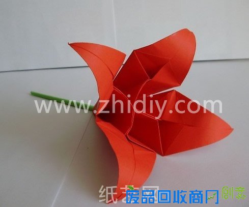 折纸大全-简单折纸花制作教程