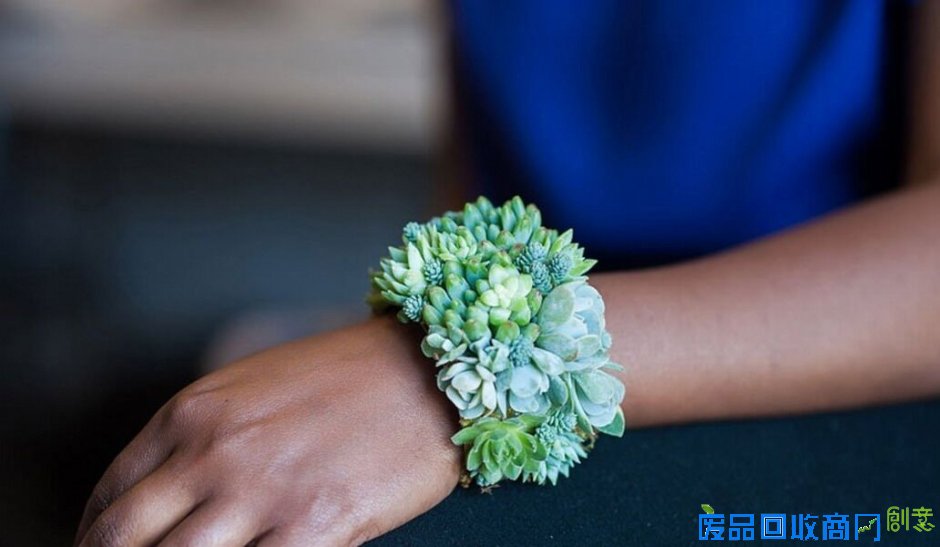 苏珊用自家花园里的肉质植物创造出了精致的头巾、项链、耳环、手镯等“生物珠宝”(网页截图)