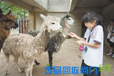 人与环境疏离“自然教育”复苏(2)