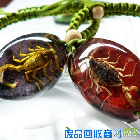 【图】昆虫标本项链图片欣赏 项链的佩戴和搭配技巧介绍