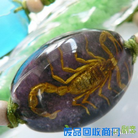 【图】昆虫标本项链图片欣赏 项链的佩戴和搭配技巧介绍