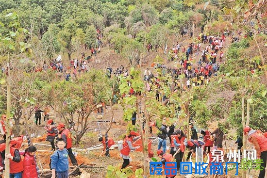 千人植树紫帽山苏素华 吴坤辉 摄