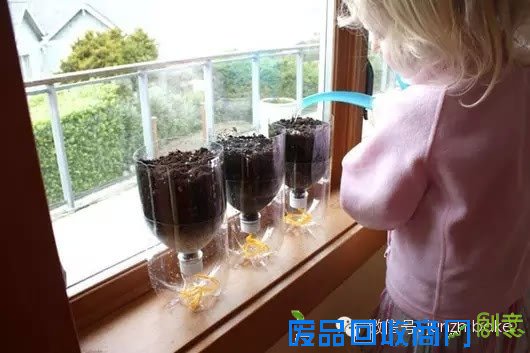 废物利用：自制会自动吸水的小盆栽