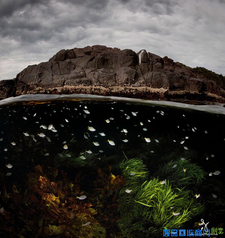 摄影师记录水波下的唯美世界