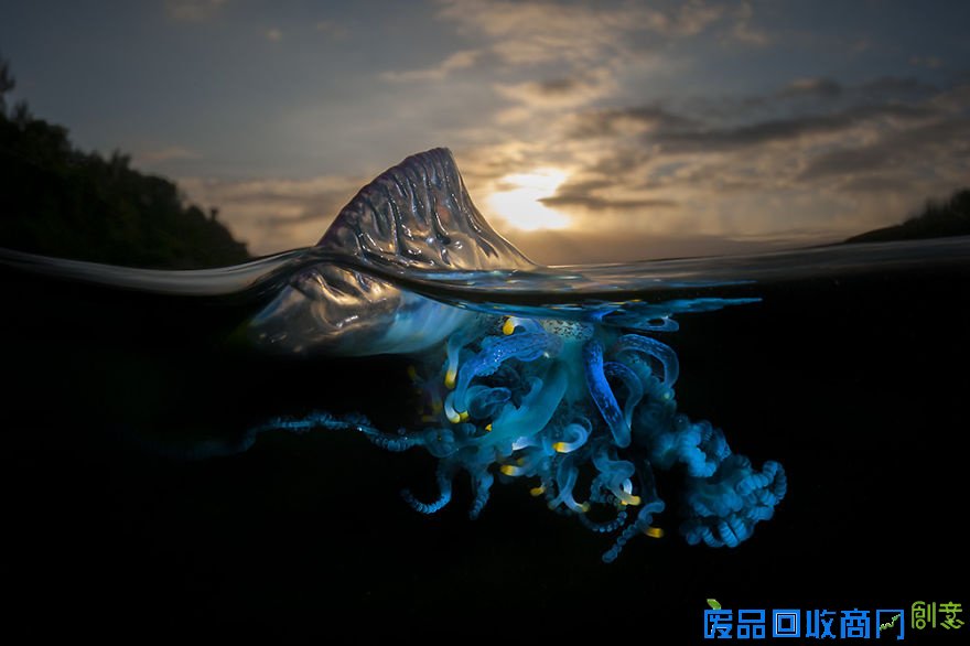 摄影师记录水波下的唯美世界