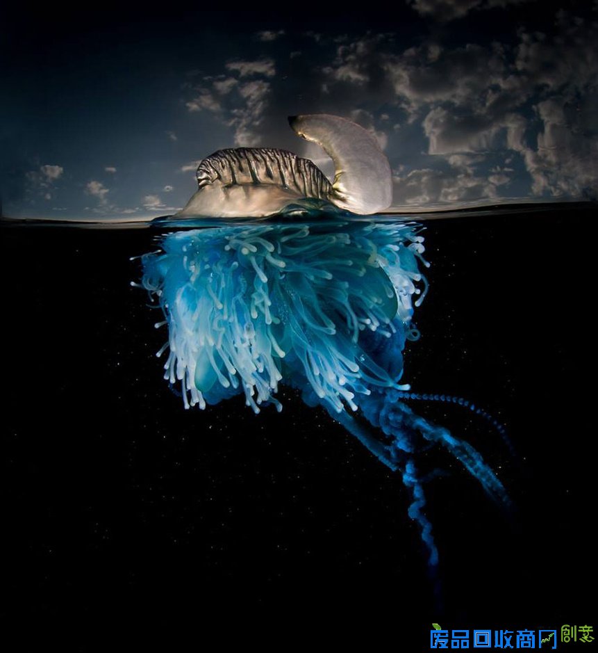 摄影师记录水波下的唯美世界