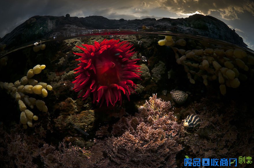 摄影师记录水波下的唯美世界