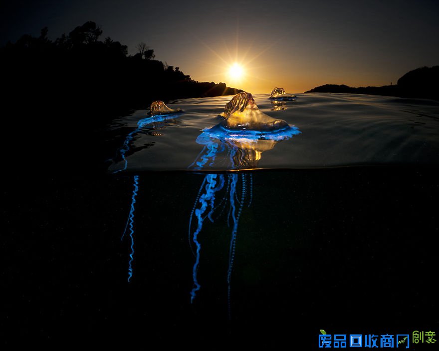 摄影师记录水波下的唯美世界