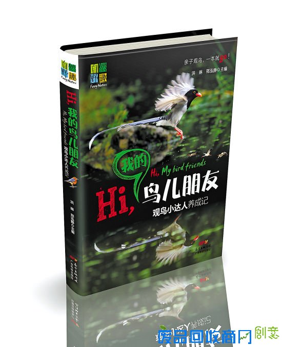 《Hi,我的鸟儿朋友—观鸟小达人养成记》,洪琳、邢泓静主编,广东科技出版社