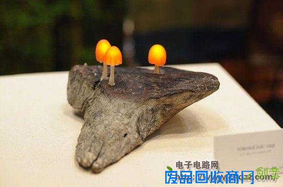 所属分类:电子制作diy