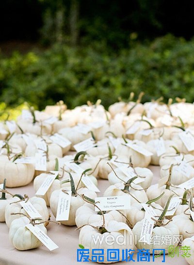 十大婚礼创意席位卡 奇趣婚礼创新无限