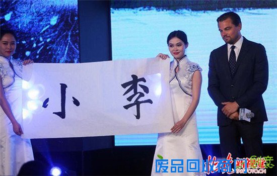 莱昂纳多写书法 “小李” 小李称呼得到认证