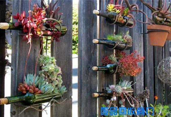 【环保】世界地球日 小陇教你变废为宝