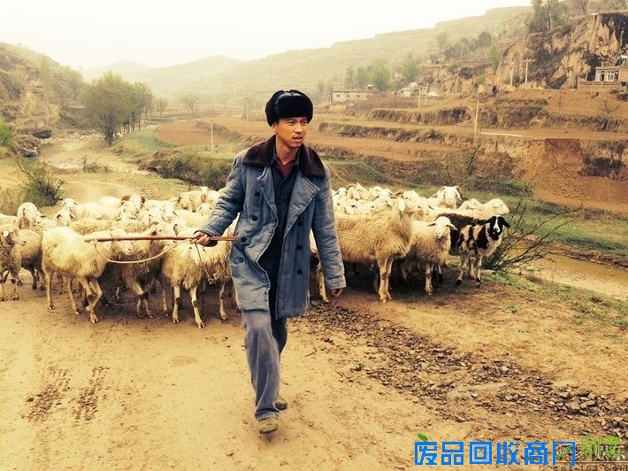 《平凡的世界》最走心的20句话 总有一句让你热泪盈眶!