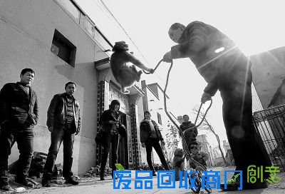 今年1月份，鲍凤山在自家门前给乡亲们表演猴戏。4