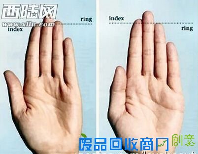 贾玲小品被批恶搞花木兰节目片段从网站删除