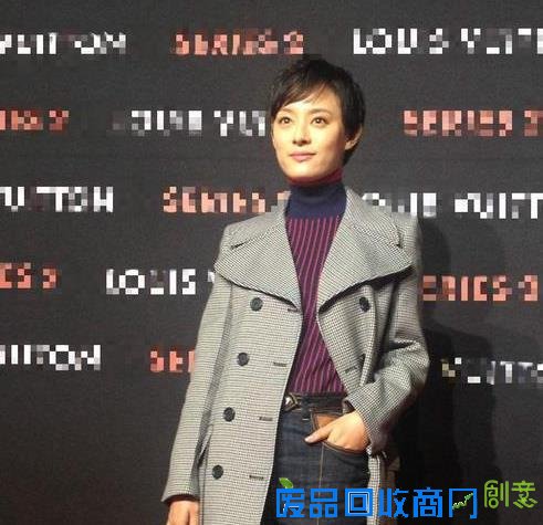 深扒娱乐圈十大名副其实的富婆 孙俪第十赵薇才第二