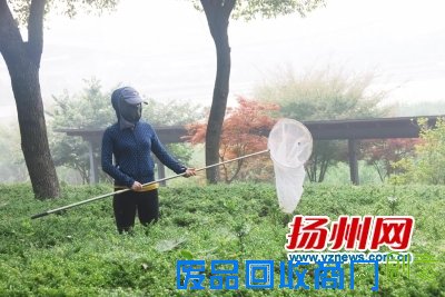 普查队员正在林间“扫描”