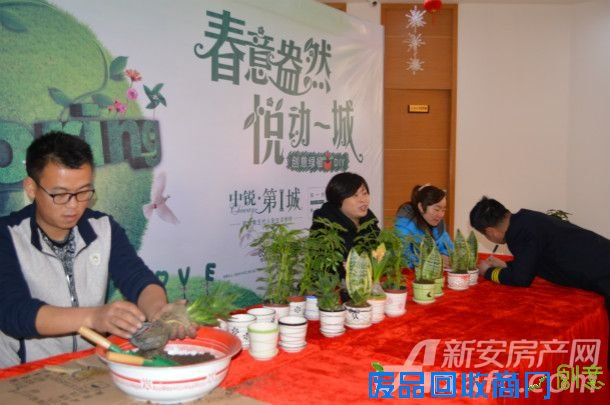 【中锐 第一城】绿植DIY  打造大宣城迷你绿色花园