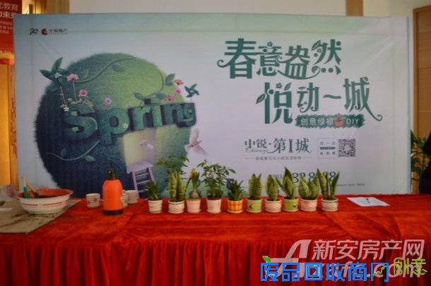 【中锐 第一城】绿植DIY  打造大宣城迷你绿色花园