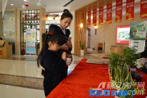 【中锐 第一城】绿植DIY  打造大宣城迷你绿色花园