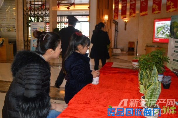 【中锐 第一城】绿植DIY  打造大宣城迷你绿色花园