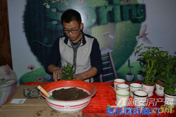 【中锐 第一城】绿植DIY  打造大宣城迷你绿色花园