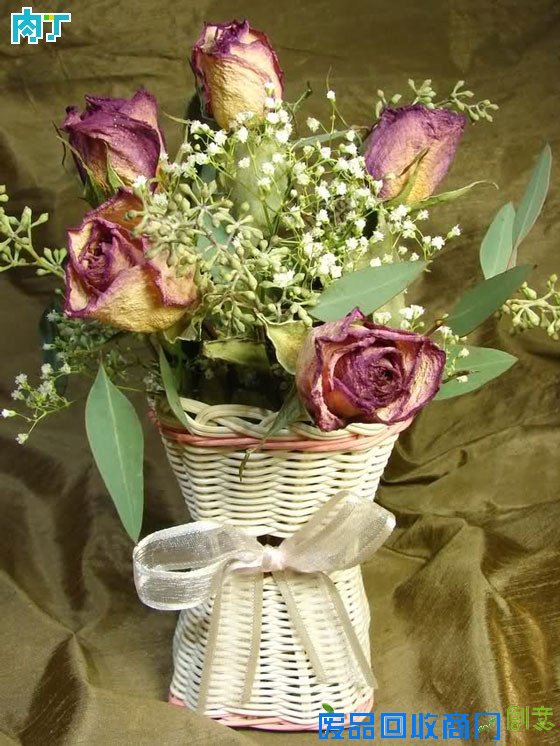 细说干花制作方法 干花制作工艺详细步骤图解╭★肉丁园艺网