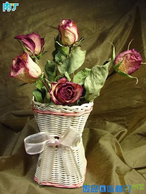 细说干花制作方法 干花制作工艺详细步骤图解╭★肉丁园艺网