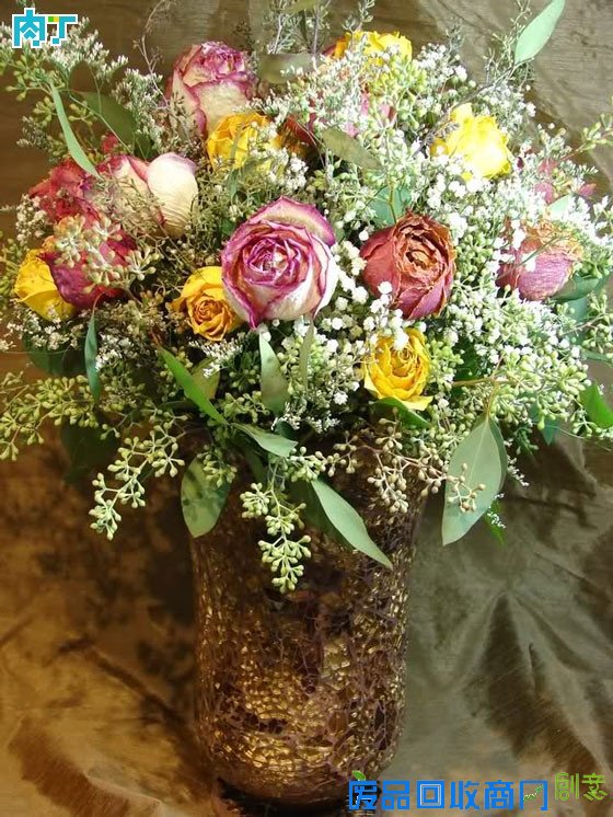 细说干花制作方法 干花制作工艺详细步骤图解╭★肉丁园艺网