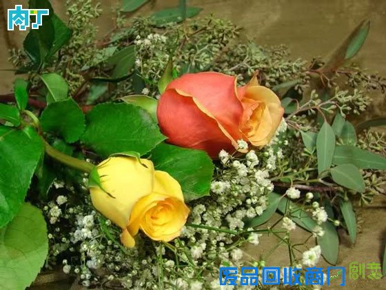 细说干花制作方法 干花制作工艺详细步骤图解╭★肉丁园艺网