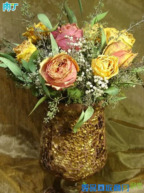 细说干花制作方法 干花制作工艺详细步骤图解╭★肉丁园艺网