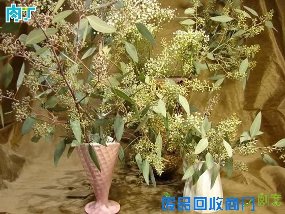 细说干花制作方法 干花制作工艺详细步骤图解╭★肉丁园艺网