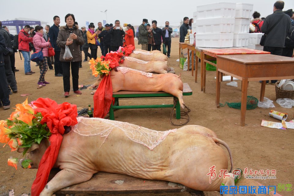 组图:实拍田横祭海节 演绎500年民俗盛宴青报网