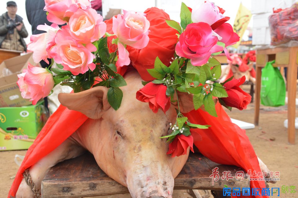 组图:实拍田横祭海节 演绎500年民俗盛宴青报网