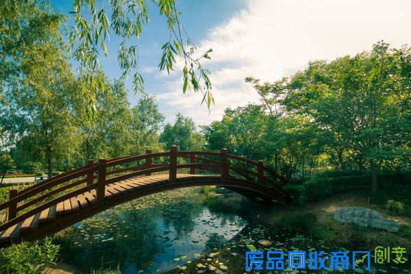 金秋时节那里玩 郑州休闲农业推多条线路供市民参考