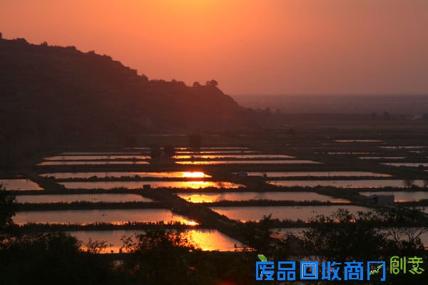 金秋时节那里玩 郑州休闲农业推多条线路供市民参考