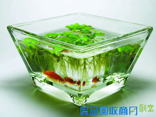 立夏啦!家居也要来点儿清凉元素