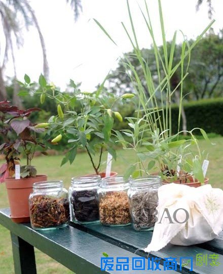 要时尚环保，要乐活生活！原生天然家居DIY，帮你变废为宝！