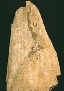 小学开甲骨文课 “甲骨文慧画”引发兴趣 甲骨文出现在哪个朝代