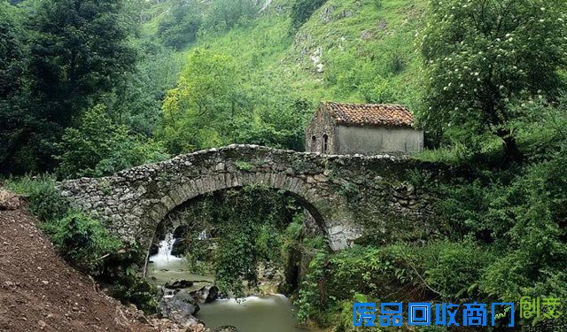 未被生活湿透，不足以谈“岁月静好”