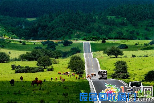 周末去哪儿？ 重庆这130个绿色氧吧免费开放